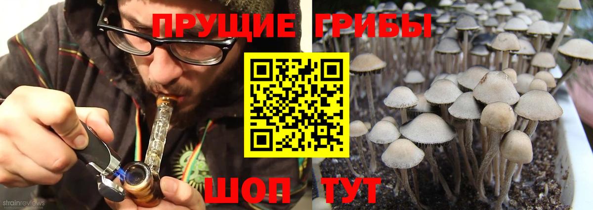 Волгоград  Галлюциногенные грибы мухоморы  Вход с VPN 